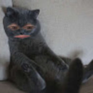 Meet your Posher, Candice